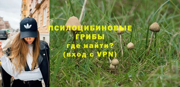 индика Алексин
