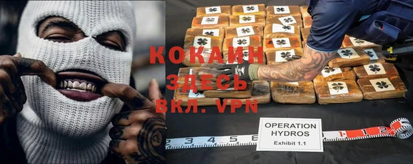 индика Алексин