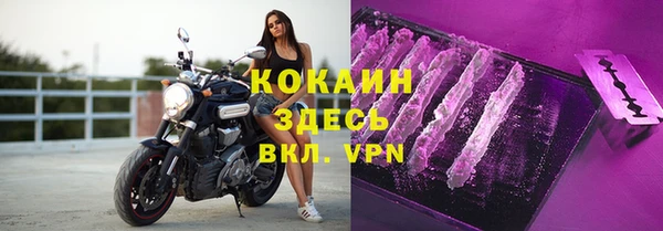 индика Алексин