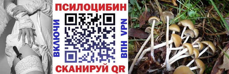 Галлюциногенные грибы Cubensis  Шарыпово 